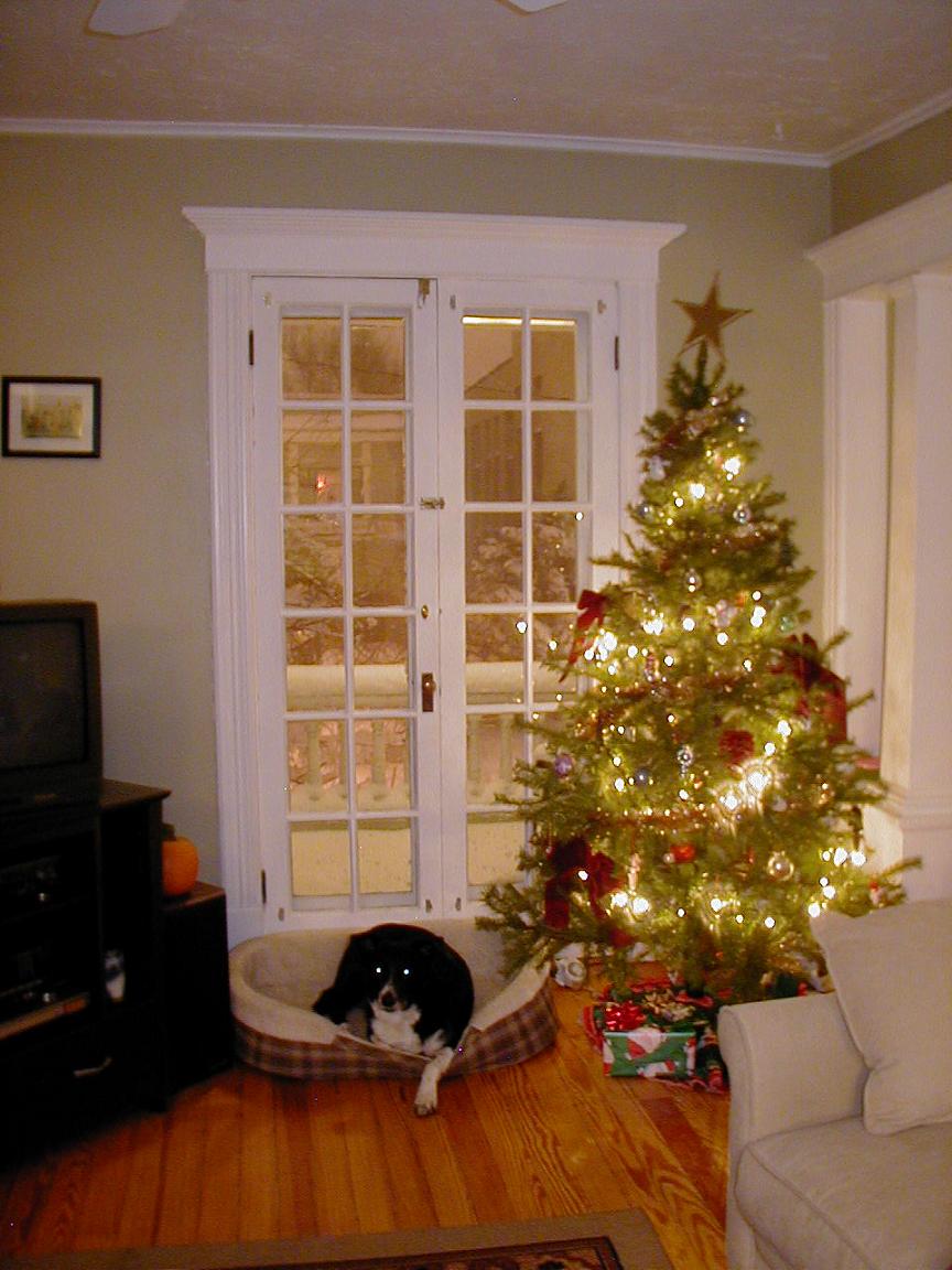 20061229..ound006.jpg