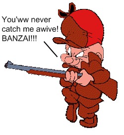 a16fudd.jpg
