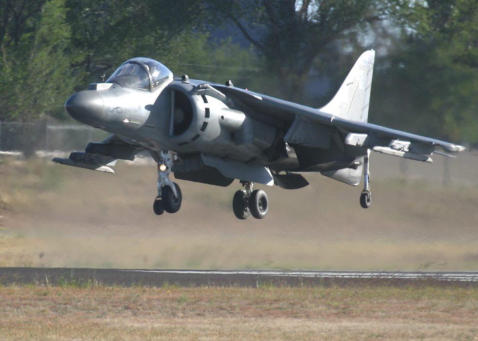 harrier.jpg