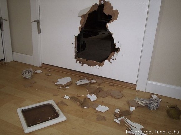 DoggieDoor.jpg