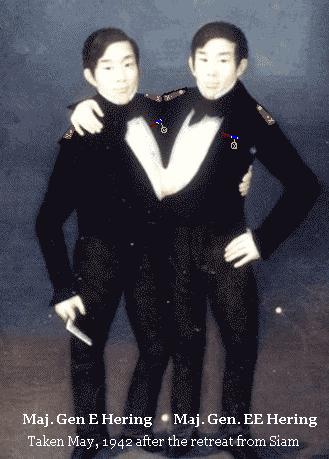 twins_large.jpg