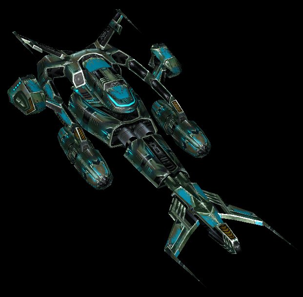 Wasp_ff.jpg