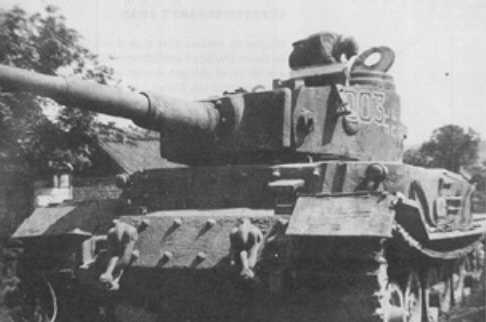 TigerP.jpg