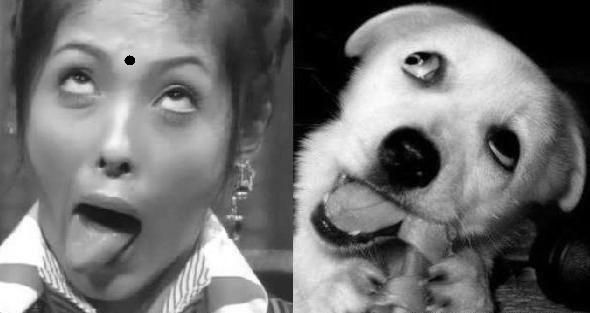 Reincarnation b+w.jpg