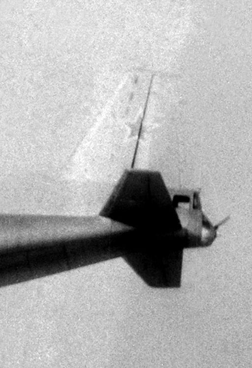 An12CubTail.jpg