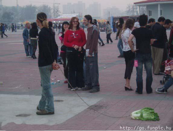 Nikwalkingveggie.jpg