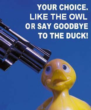 Liketheowlorelse.jpg