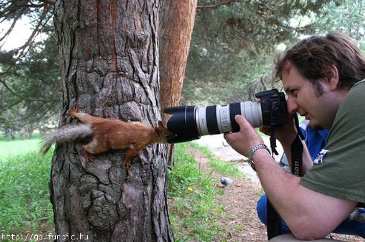 Squirrelphoto.jpg