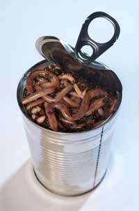 Can-of-worms.jpg