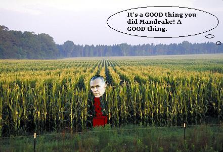 cornfield.jpg