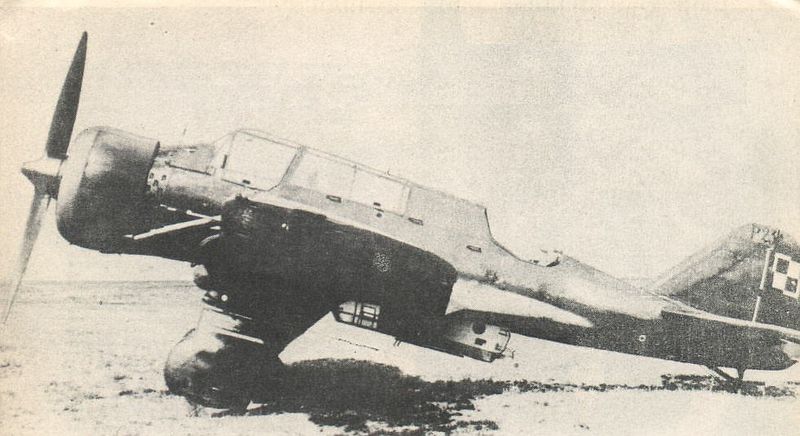800pxPzl.23_2.jpg
