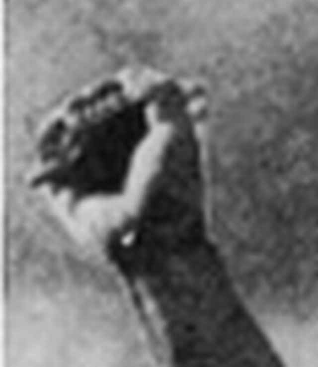 Mystery Ja..blowup 2.jpg