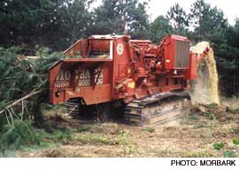 gx02bg03_17b.jpg
