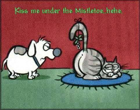 mistletoe.jpg