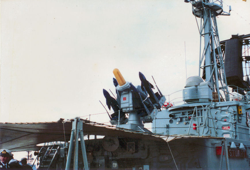 Sea_Cat2.jpg