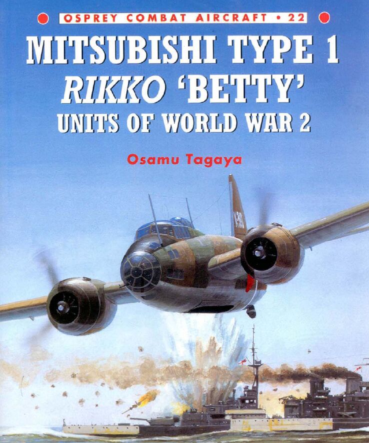 mitsubook.jpg