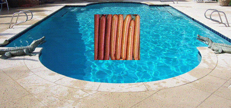 Franksinthepool.gif