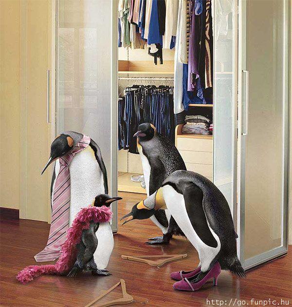 Penguindressup.jpg