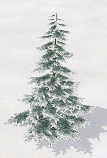 Tree1.jpg