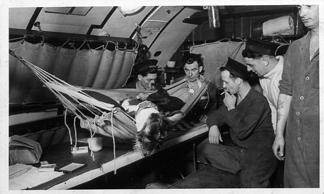 RNSM_53.jpg