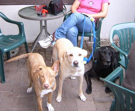 threesome.jpg