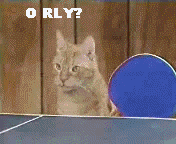 catpongaq4.gif