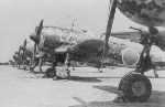 Ki4482_small.jpg