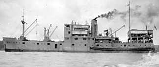 TungSong.jpg