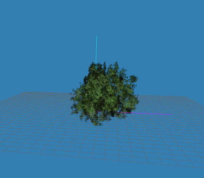 foliage.jpg