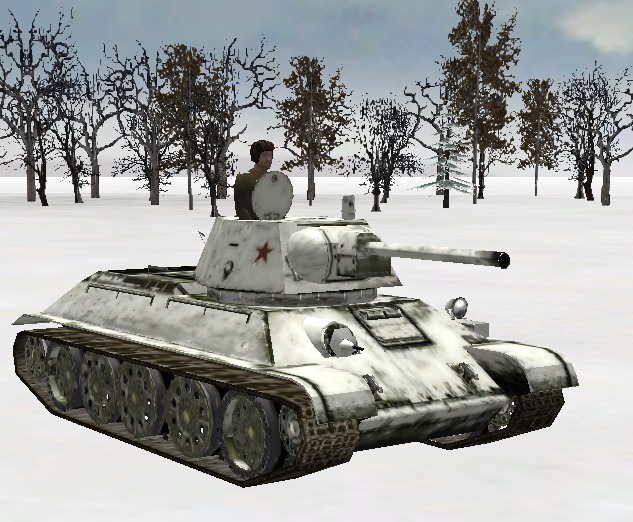 T3443.jpg