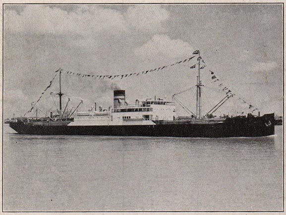 HogIslander.jpg