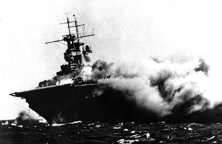 cv7wasp.jpg