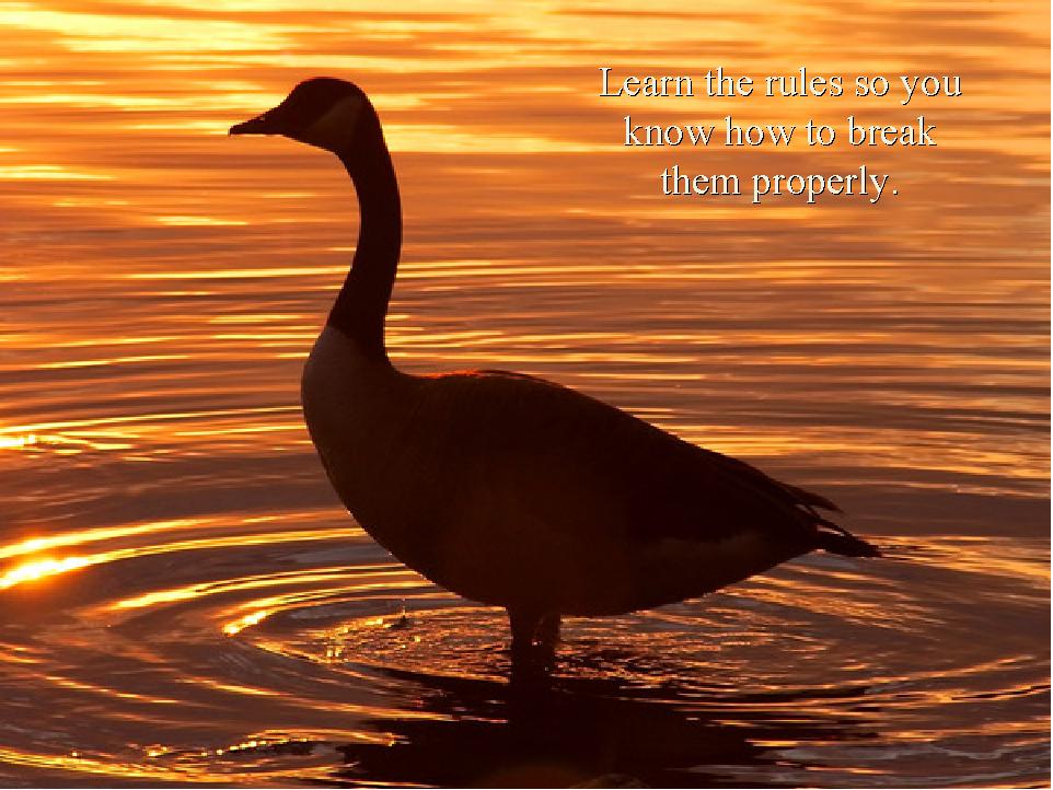 rules.jpg