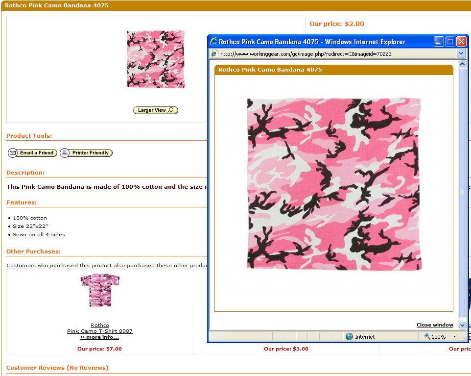 pinkbandana.jpg