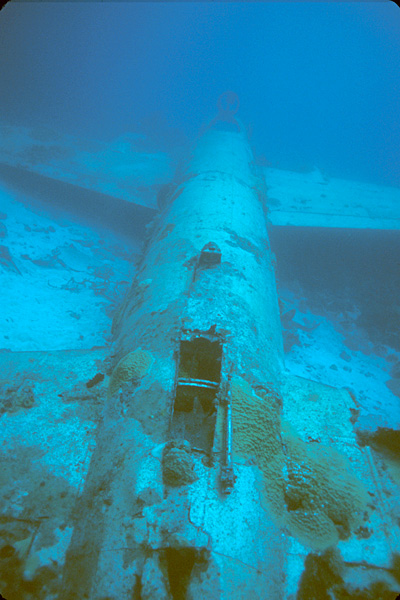 1849_aquaimages1.jpg