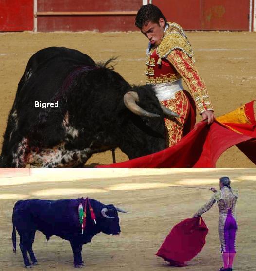 BR.jpg