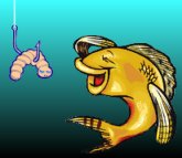 Danglingtheworm.jpg