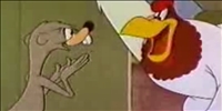 weasel.jpg