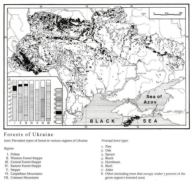 Ukraineforests.jpg