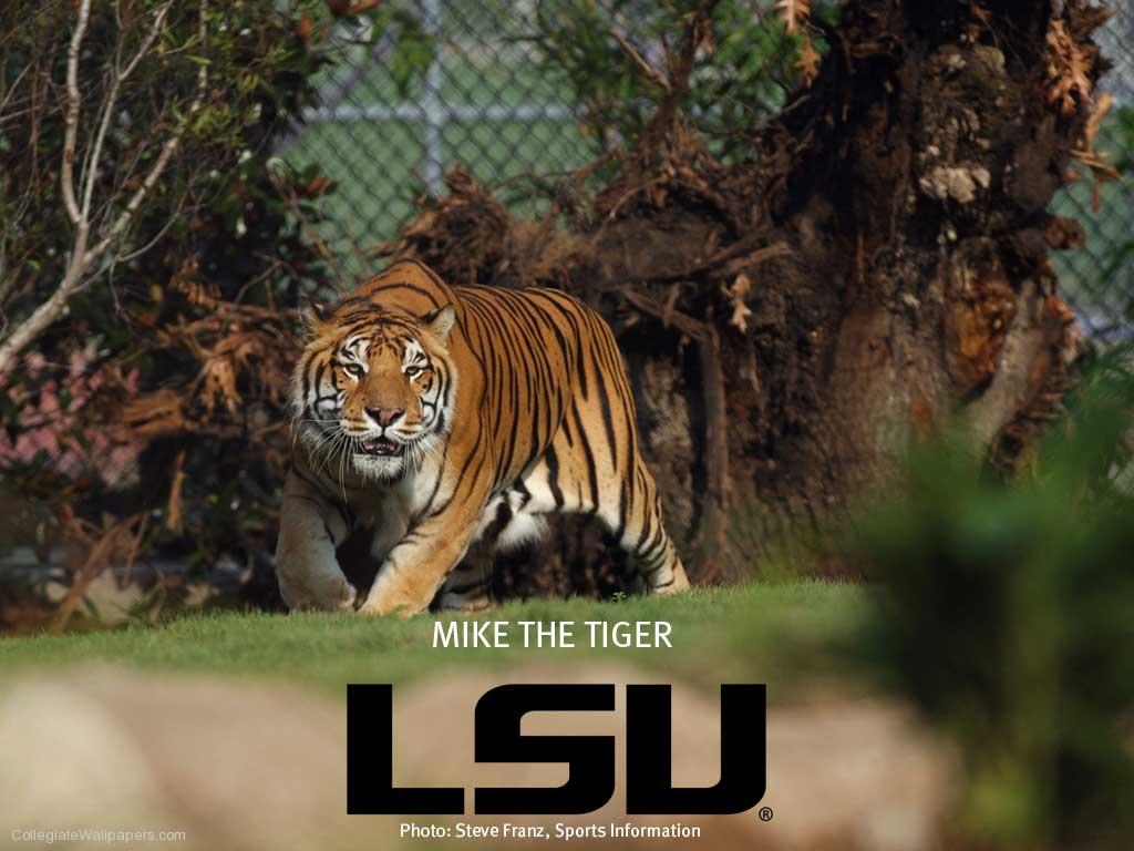 MiketheTiger1.jpg