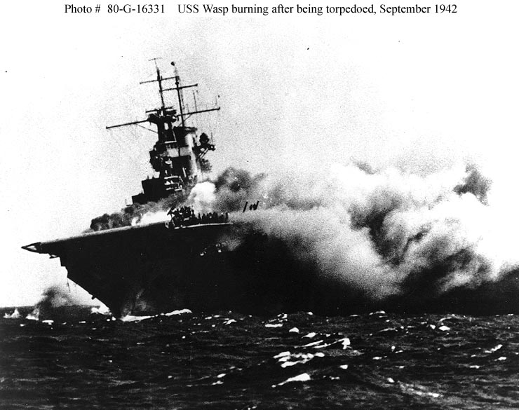 wasp.jpg