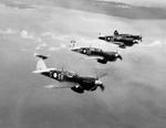Kittyhawks.jpg