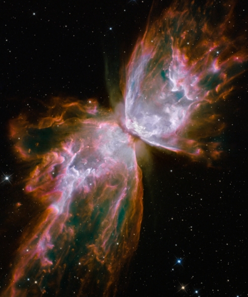 butterfly_hst_small.jpg
