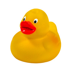 duck.jpg