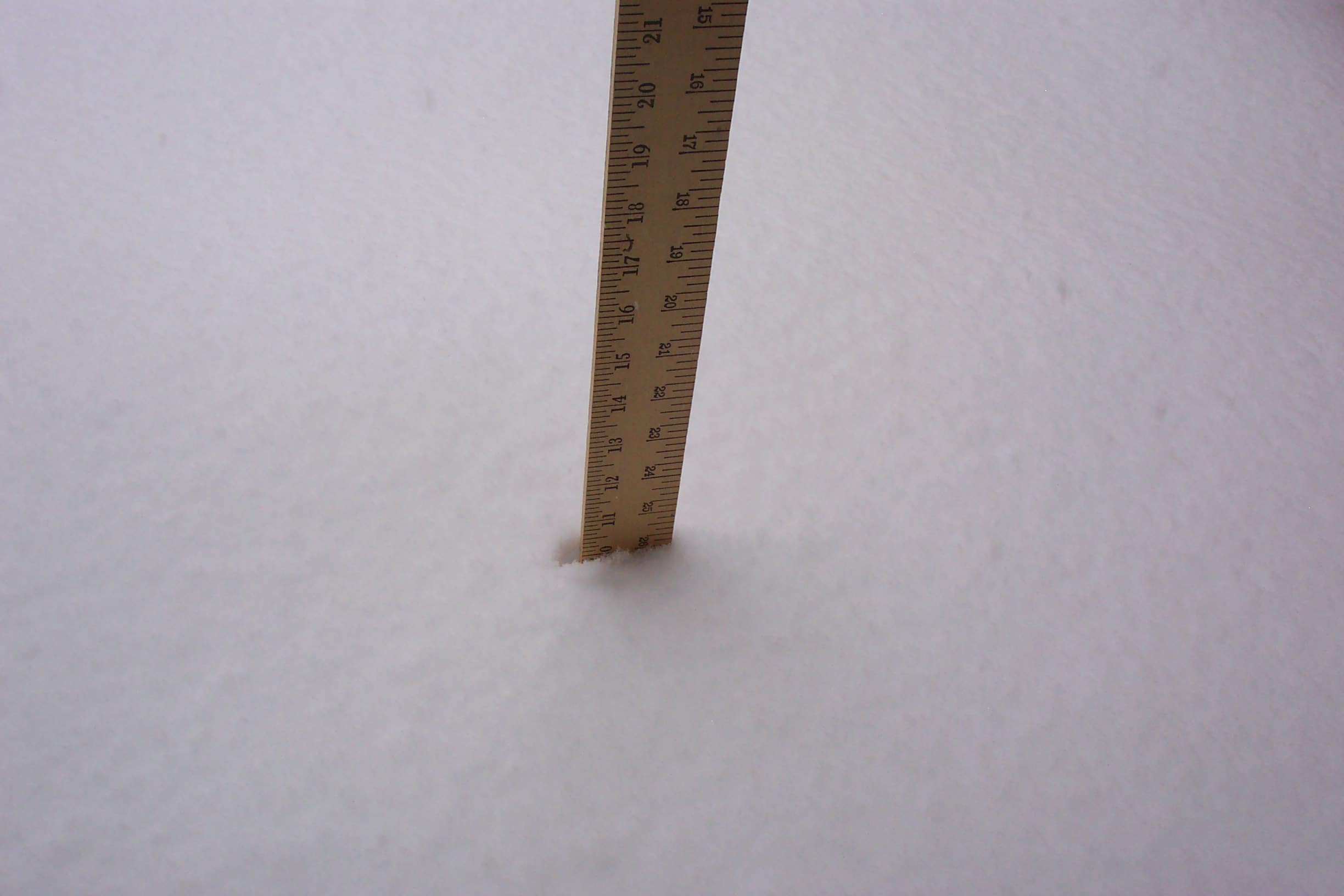 snow001.jpg