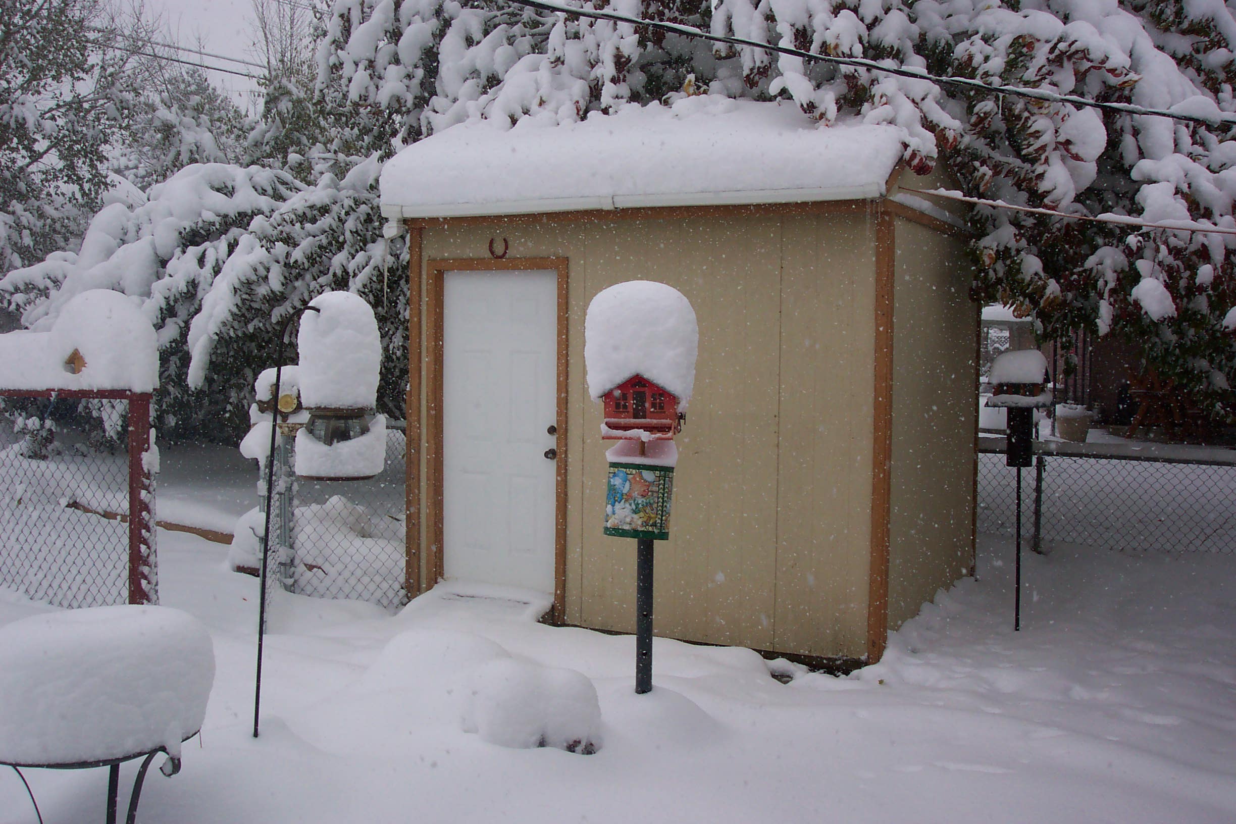 snow003.jpg