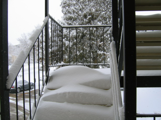 snowday002.jpg