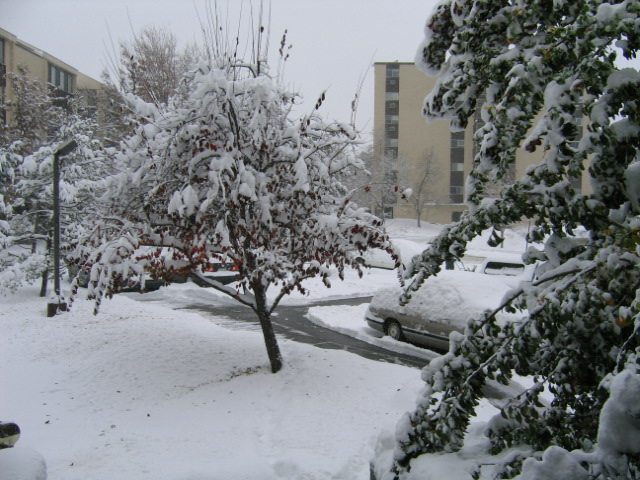 snowday004.jpg