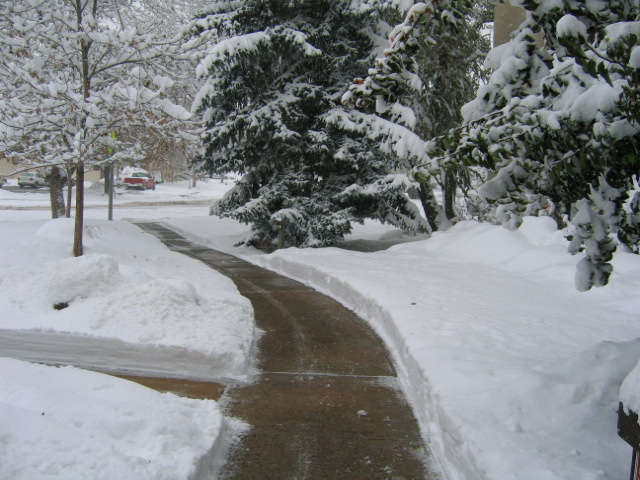 snowday006.jpg