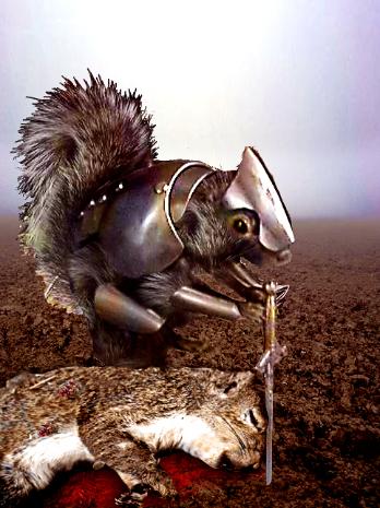 squirrelarmor.jpg